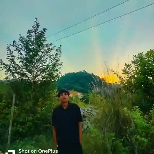 Nitul Photo Gallery Download