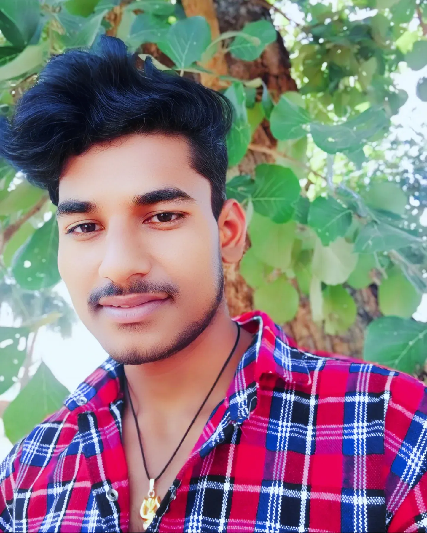 Gallery of Narendra Kushwaha